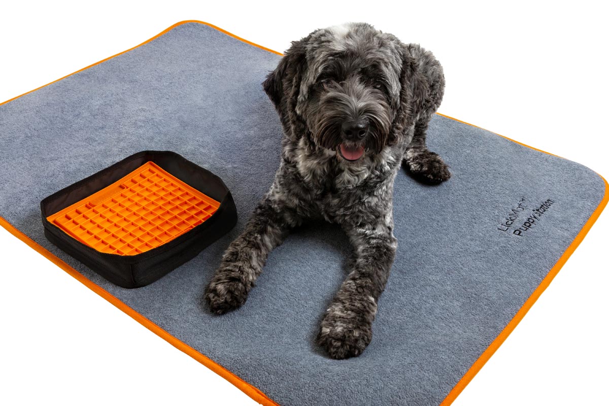 LickiMat Training Mat
