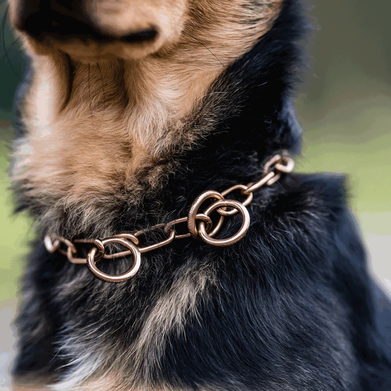 Sprenger hálsól, medium-CUROGAN, 3.0 mm - Image 3