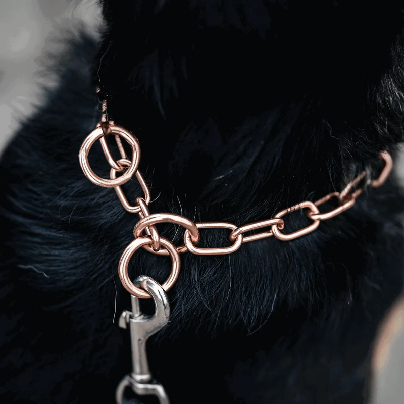 Sprenger hálsól, medium-CUROGAN, 3.0 mm - Image 4