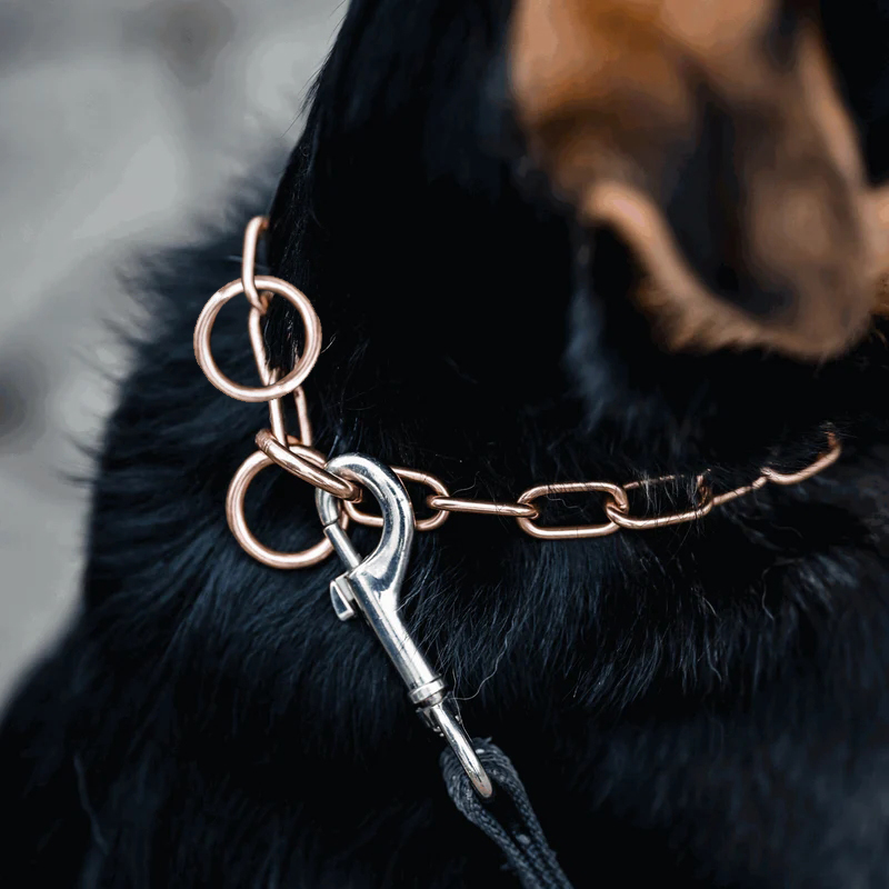 Sprenger hálsól, medium-CUROGAN, 3.0 mm - Image 5