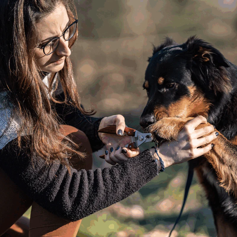 Sprenger – Naglaklippur með öryggi stoppi og viðar handfangi. - Image 5
