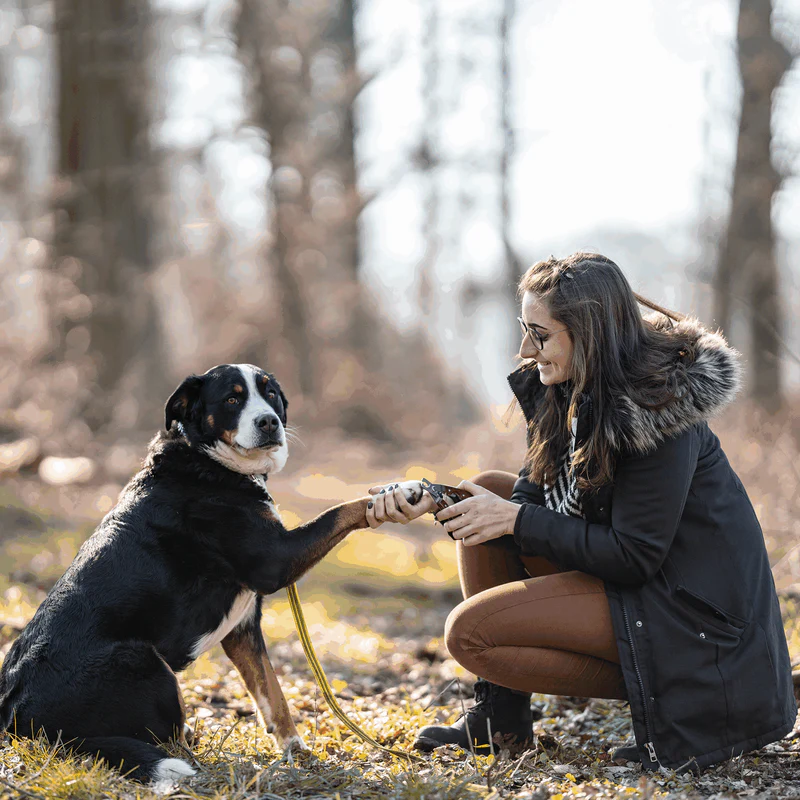 Sprenger – Naglaklippur með öryggi stoppi og viðar handfangi. - Image 2