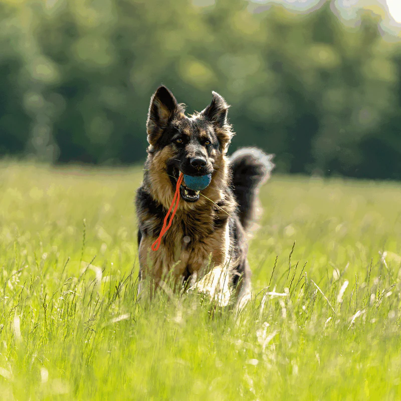 Sprenger - Rubber Ball/mismunandi litir. - Image 8