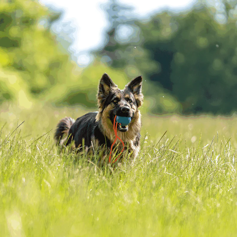 Sprenger - Rubber Ball/mismunandi litir. - Image 7