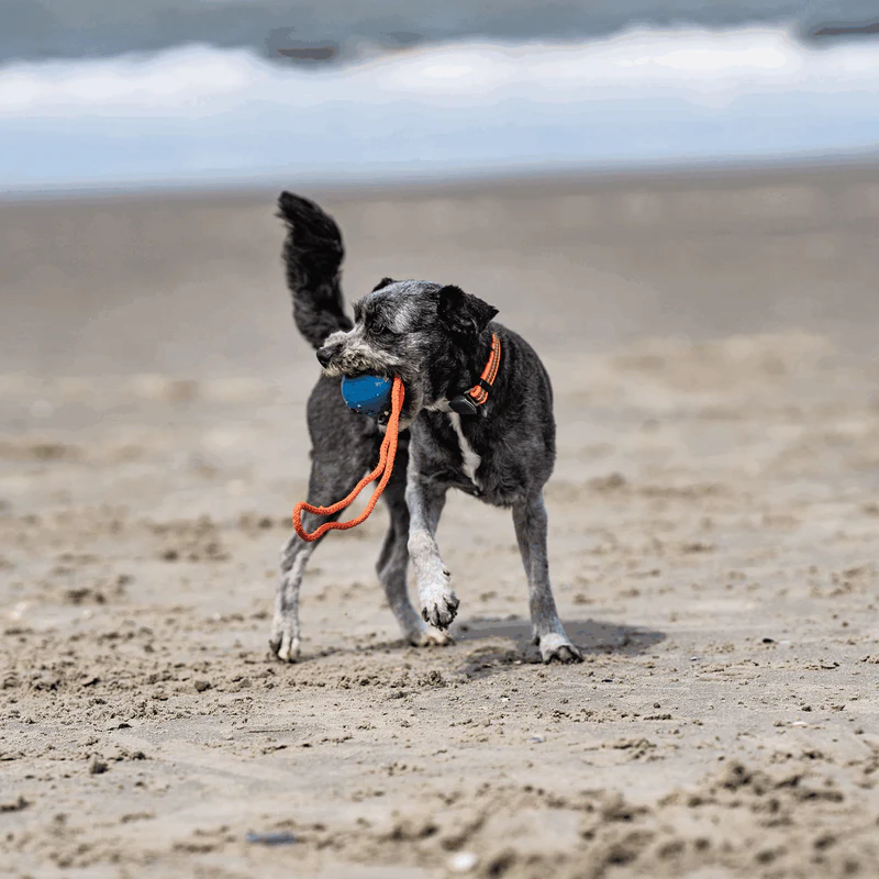 Sprenger - Rubber Ball/mismunandi litir. - Image 6