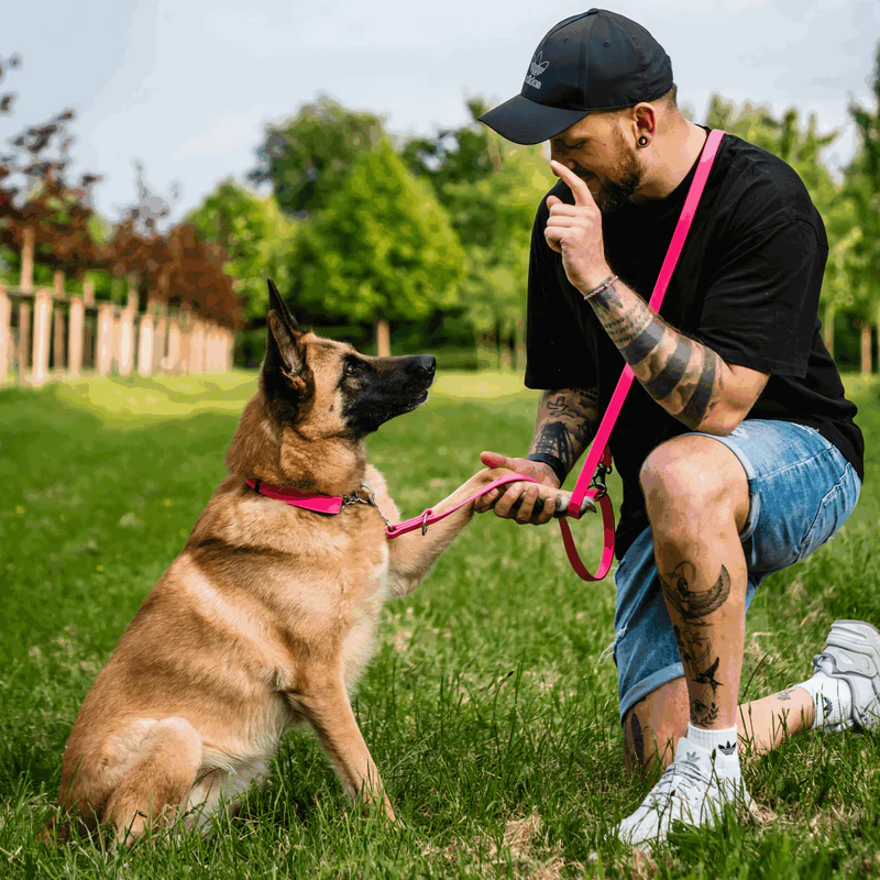 Sprenger- Biothane® Taumur 3 times adjustable, 2.3m - Image 15