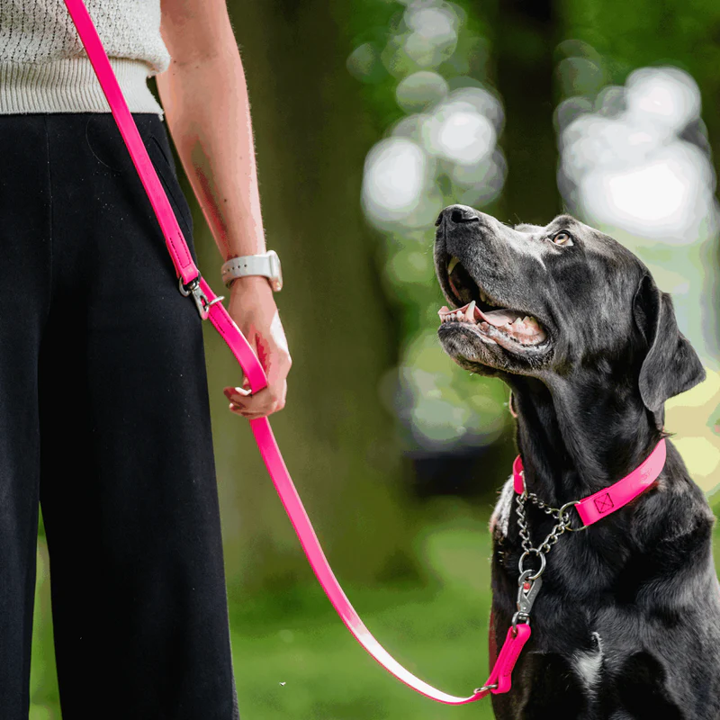 Sprenger- Biothane® Taumur 3 times adjustable, 2.3m - Image 13