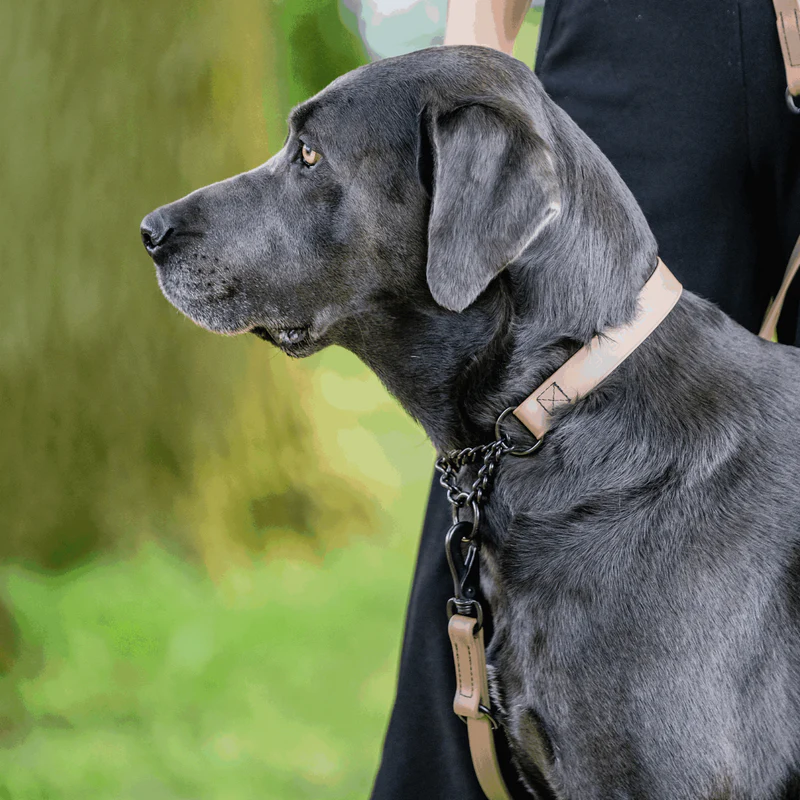 Sprenger- Biothane® Taumur 3 times adjustable, 2.3m - Image 20