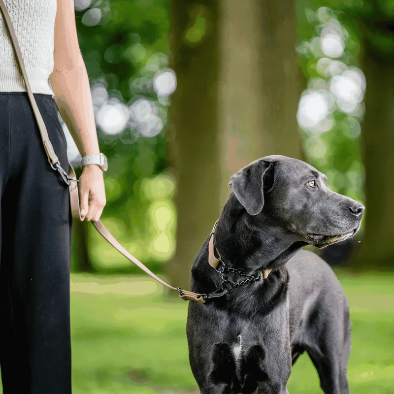 Sprenger- Biothane® Taumur 3 times adjustable, 2.3m - Image 21