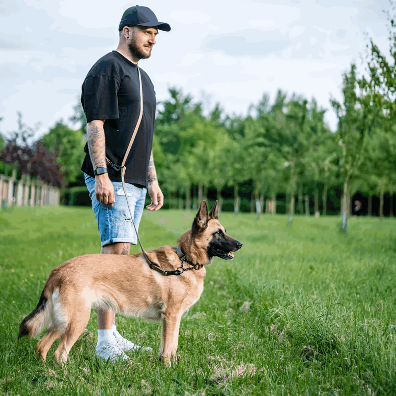 Sprenger- Biothane® Taumur 3 times adjustable, 2.3m - Image 22