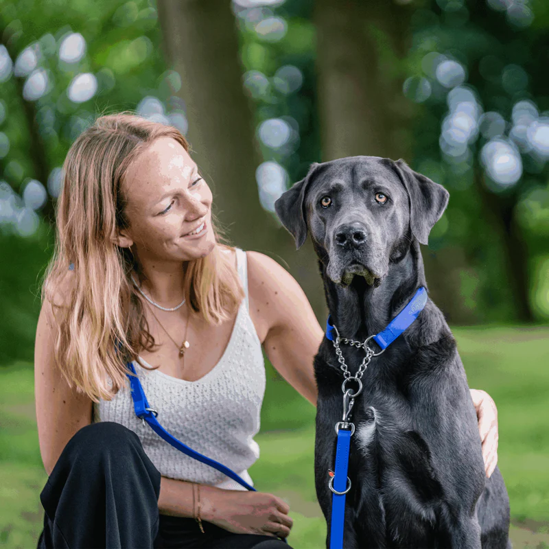 Biothane® Adjustable collar with pull-through chain 40-65cm - Image 11