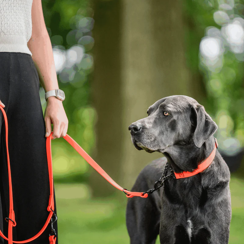 Sprenger- Biothane® Taumur 3 times adjustable, 2.3m - Image 28