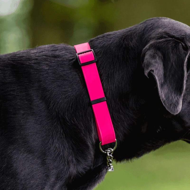 Biothane® Adjustable collar with pull-through chain 40-65cm - Image 3