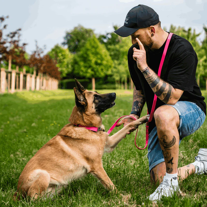 Biothane® Adjustable collar with pull-through chain 40-65cm - Image 6