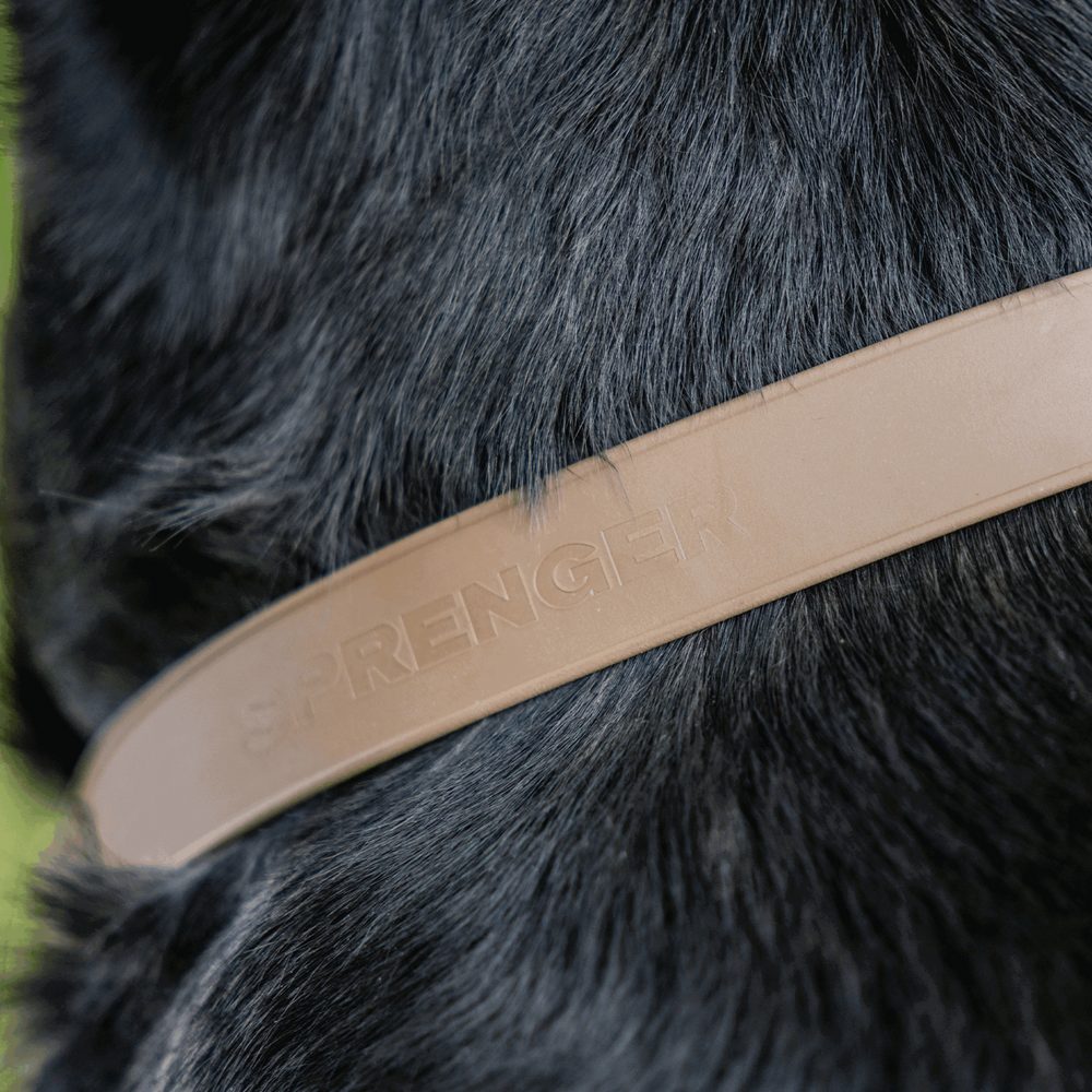 Biothane® Adjustable collar with pull-through black chain 40-65cm - Image 15