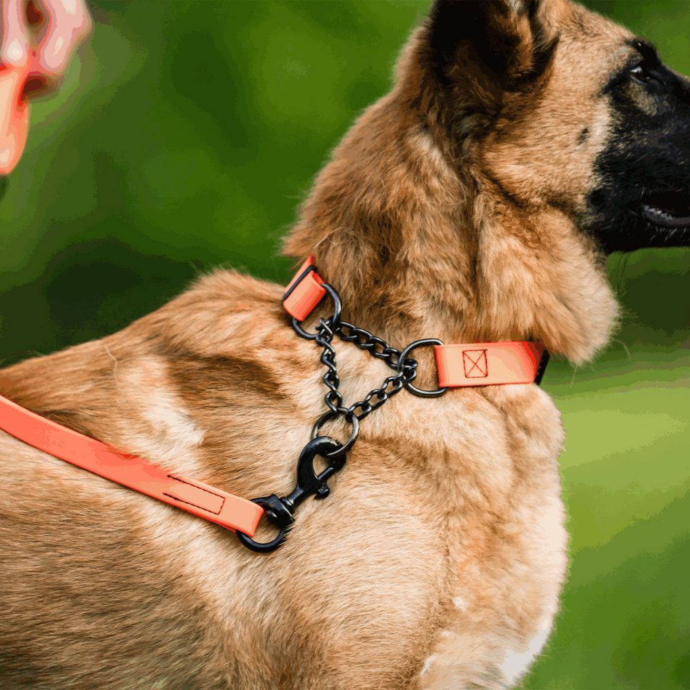 Biothane® Adjustable collar with pull-through black chain 40-65cm - Image 8
