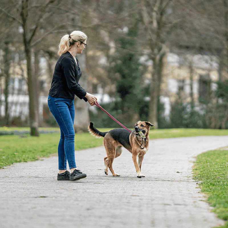 Rubberized leash with hand strap 1.2M - Image 8