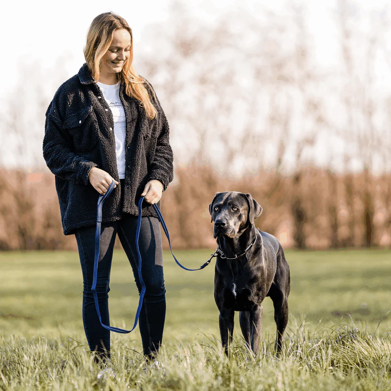 Rubberized leash with hand strap 2M - Image 21