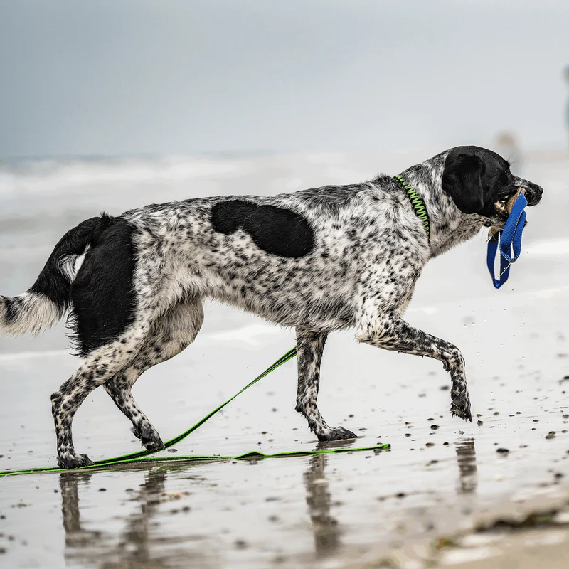 Sporalína án handfangs 10m - Image 24