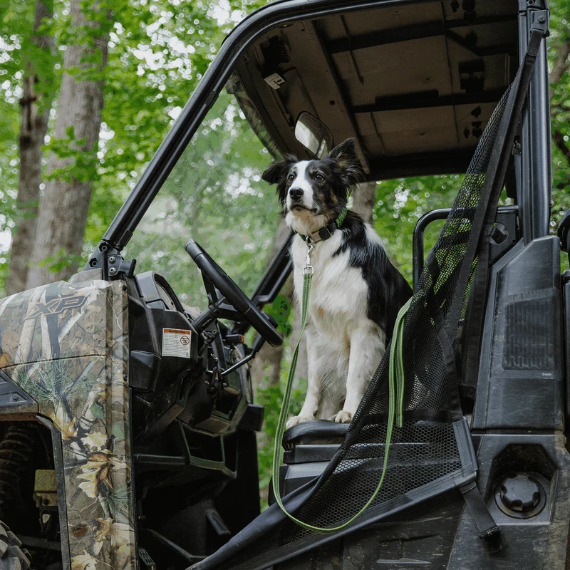 Sporalína án handfangs 10m - Image 27