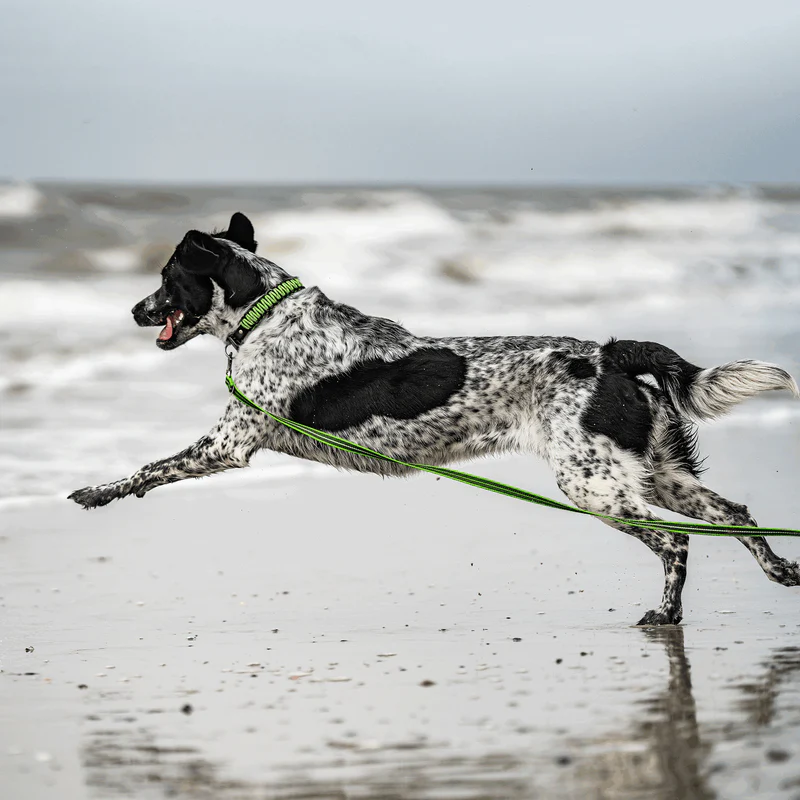 Sporalína án handfangs 10m - Image 25