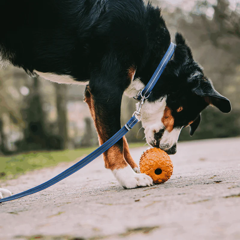 Sporalína án handfangs 10m - Image 20