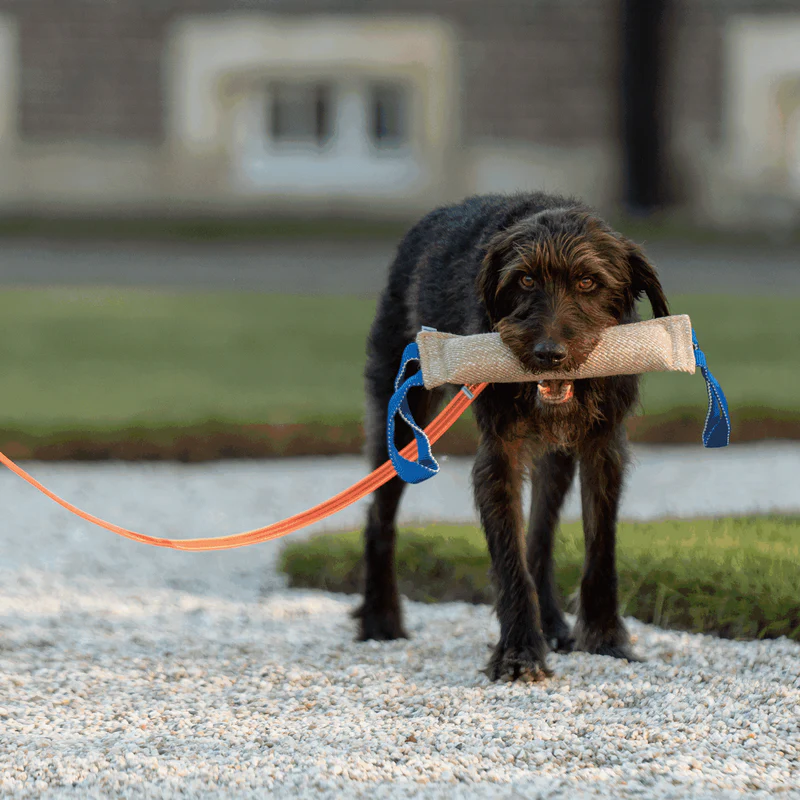 Sporalína án handfangs 10m - Image 7