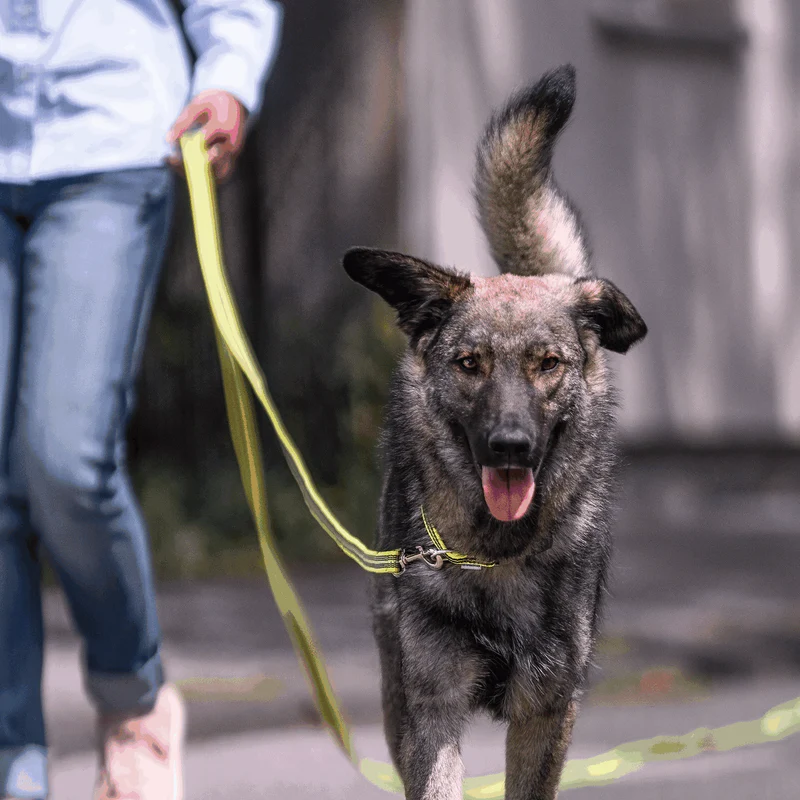 Sporalína án handfangs 10m - Image 13