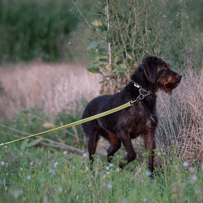 Sporalína án handfangs 10m - Image 14