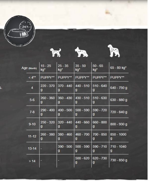 Belcando JUNIOR Lamb & Rice 12,5kg - Image 4