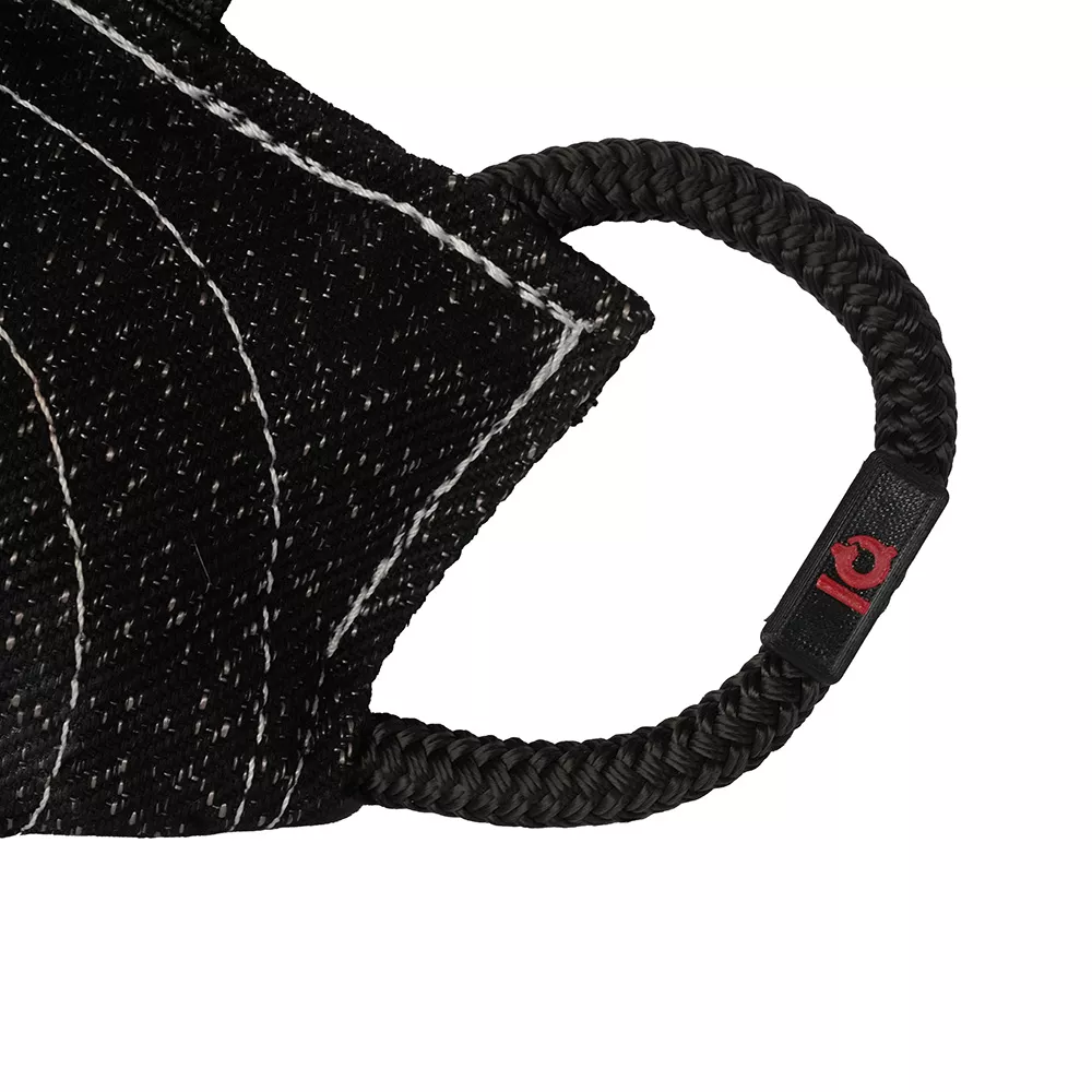 IQ Magnetizer - Image 3