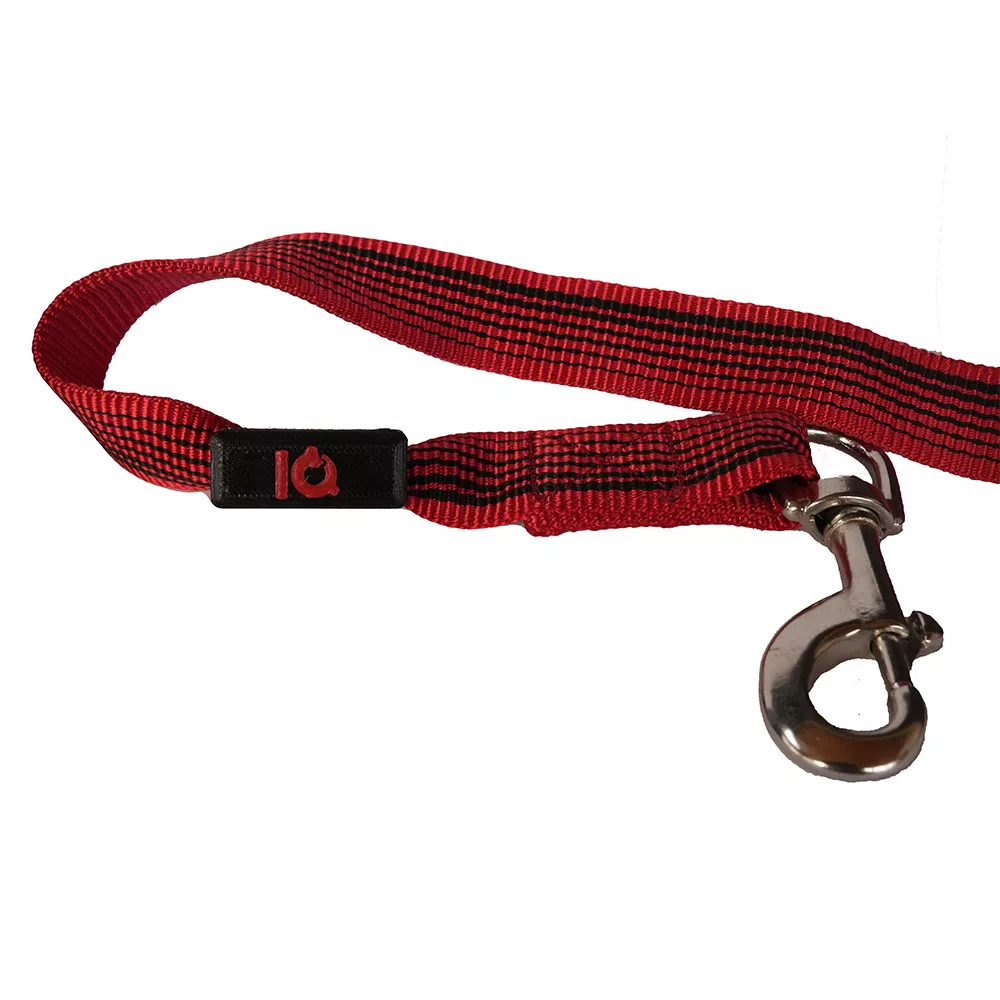 IQ Magnetizer - Image 5