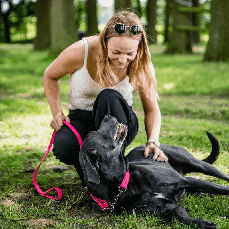 Sprenger- Biothane® Taumur, 1.2m - Image 12