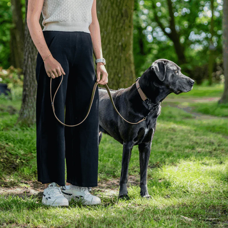 Sprenger- Biothane® Taumur, 1.2m - Image 18