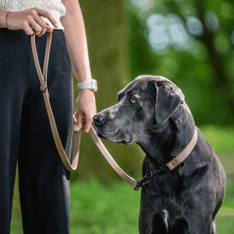 Sprenger- Biothane® Taumur, 1.2m - Image 17