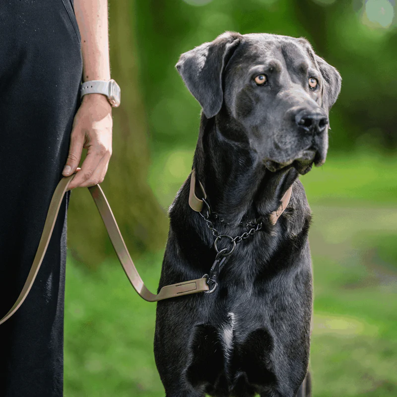 Sprenger- Biothane® Taumur, 1.2m - Image 16