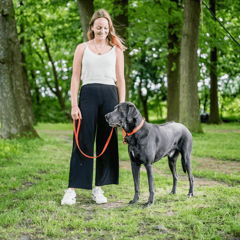 Sprenger- Biothane® Taumur, 1.2m - Image 24