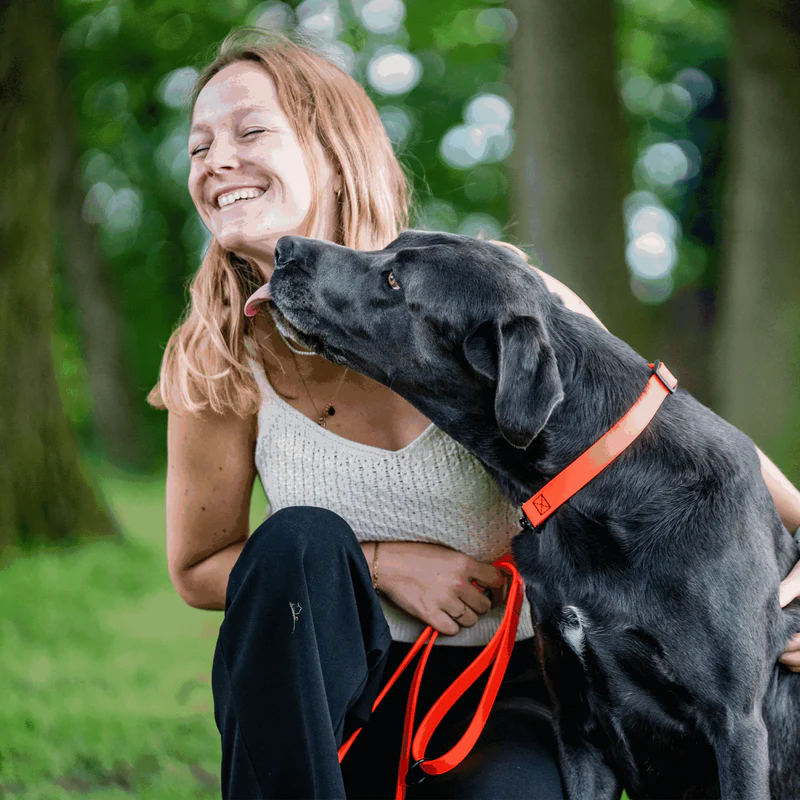 Sprenger- Biothane® Taumur, 1.2m - Image 11