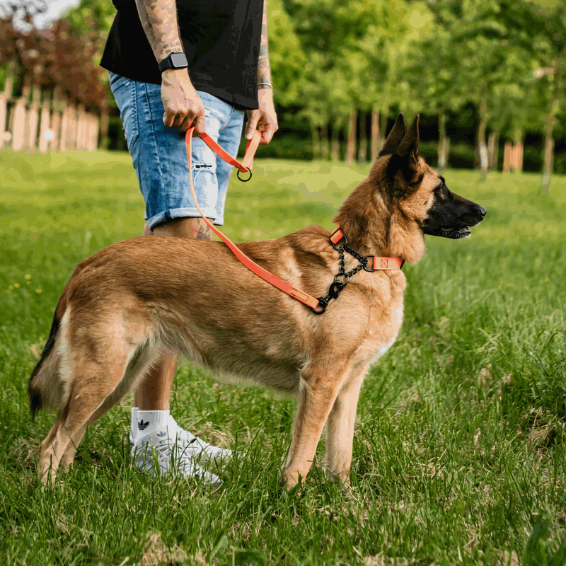 Sprenger- Biothane® Taumur, 1.2m - Image 22