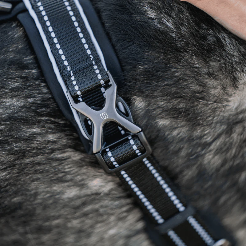 Sprenger Y-hundabeisli - Image 6