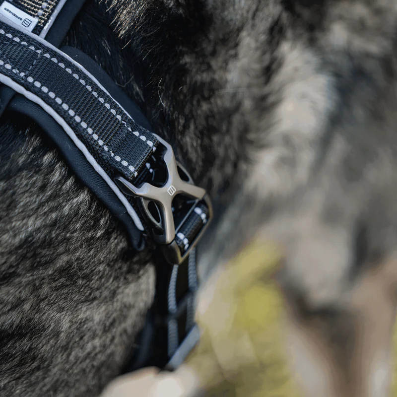 Sprenger Y-hundabeisli - Image 5