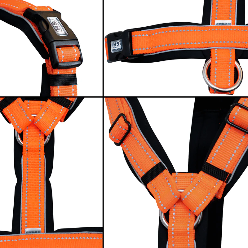 Sprenger Y-hundabeisli - Image 15