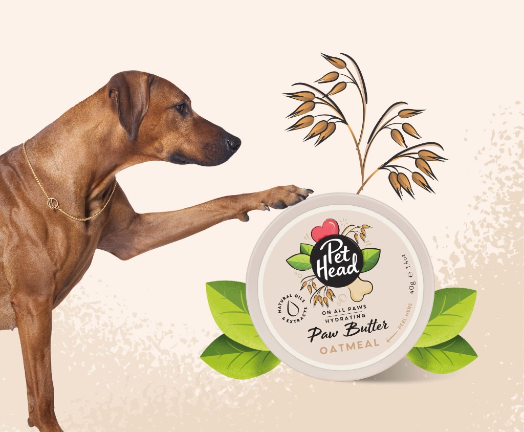 Pet Head On All Paws Oatmeal Paw Butter – 40gr - Image 2
